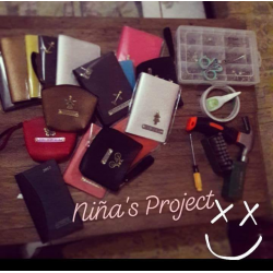 Niña's project